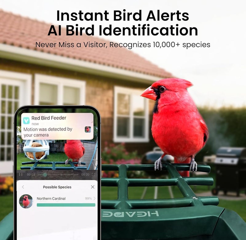 HEAPETS Smart Bird Feeder with Camera Solar Powered, 2K HD Video, AI Bird Species Identification, Instant Arrival Alerts, Weatherproof Design for Effortless Birdwatching, Best Gift for BirdLovers, Red - Image 3
